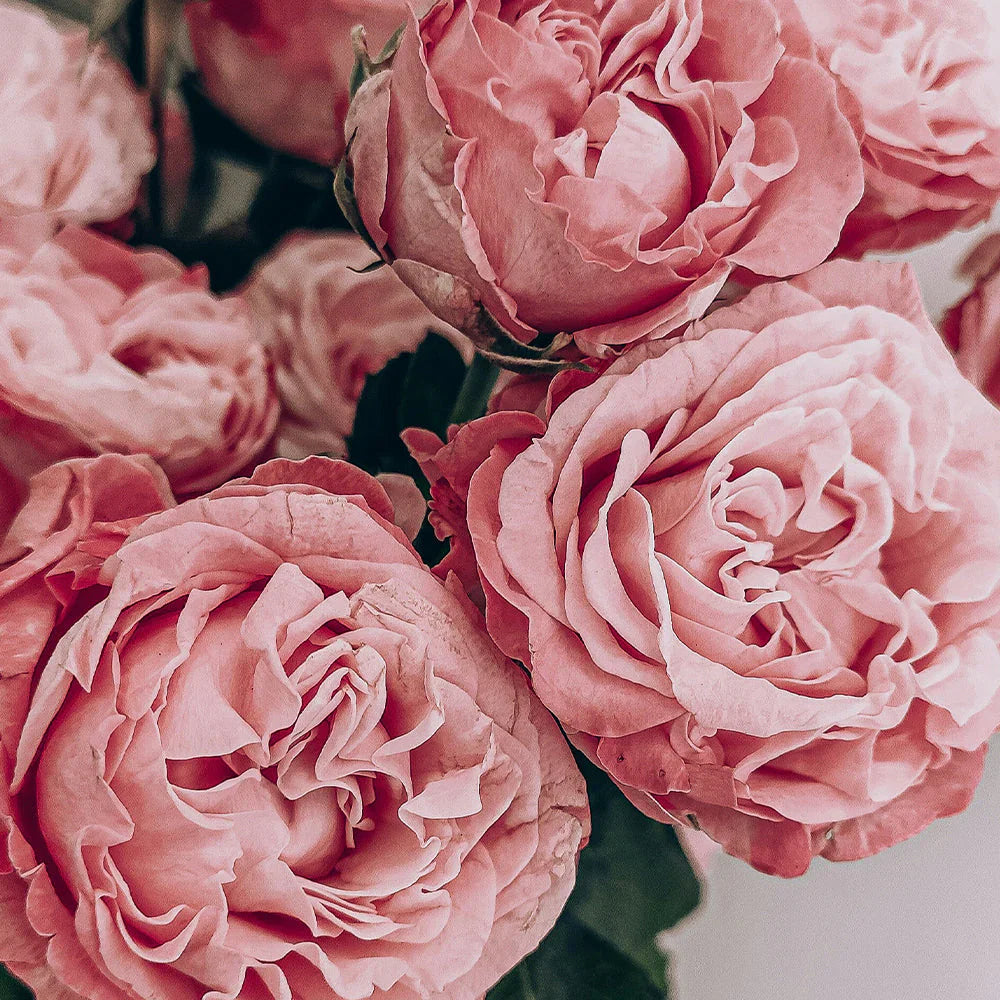 Floral
