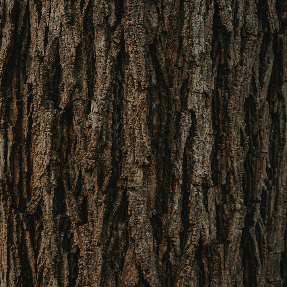 Woody